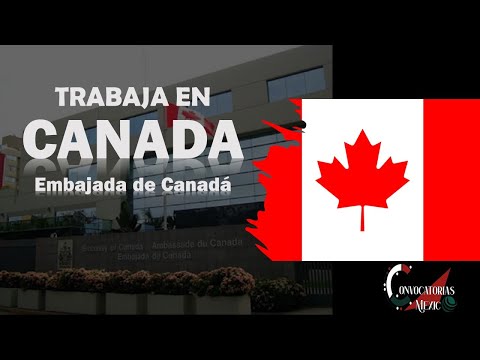 Bolsa de trabajo del Consulado Canadiense: Consejos para encontrar empleo en Canadá