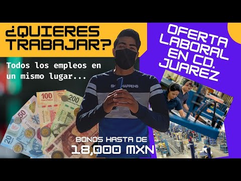 Consejos para encontrar empleo en Oaxaca de Juárez